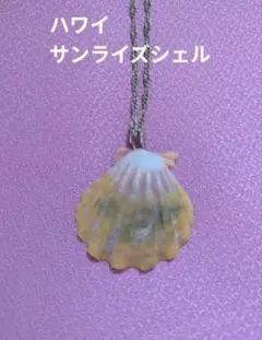 Hawaii産サンライズシェル型取り⭐︎silverチャームネックレス 2026年最新】サンライズシェル ハワイの人気アイテム - メルカリ