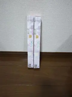 ア*ン様 ロシデレ　タイトーくじ　アーリャの休日　F賞　A3ポスター　2点セット