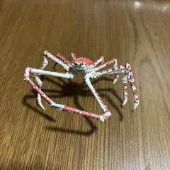 ネイチャーテクニカラー タカアシガニ フィギュア 海遊館ミュージアム 奇譚クラブ 2025年最新】海遊館 タカアシガニの人気アイテム - メルカリ