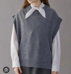 アダワス　ニットベスト　美品　お値下げ 2025年最新】ADAWAS ニットベストの人気アイテム - メルカリ