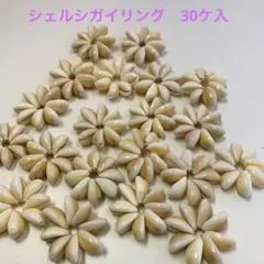 NO.366-147 シェルシガイリング(貝殻) 30ケ入