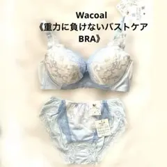 【Wacoal】ワコール 《重力に負けないバストケアBRA》 E65 M