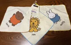 Item thumbnail for item 209c21ac-66ad-4757-b1cb-d06c2f73e0e6