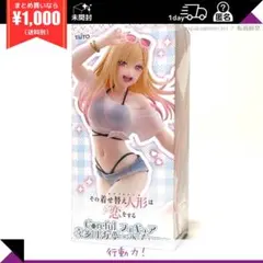 着せ恋 アニメ