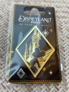 ディズニーランドパリ♡30周年☆ティンカーベル♡ピンバッジ