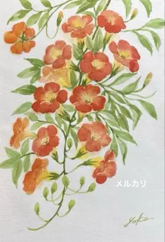 ノウゼンカズラ1 水彩画　原画のサムネイル