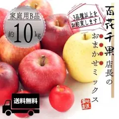 ＂店長おまかせミックス＂ 【 青森県産 家庭用 りんご 10kg 】 産地直送のサムネイル