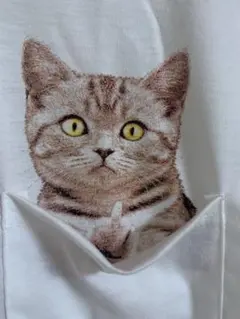 猫ポケット　Tシャツ　ポケットの中の猫は？！
