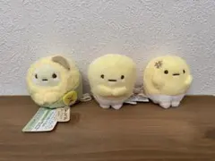 すみっコぐらし てのりぬいぐるみ セット