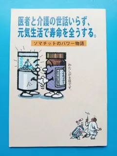 カミサマを味方につける本 井戸理恵子 /日本の行事四季　お受験　神社　しきたり カミサマを味方につける本 井戸理恵子 /日本の行事四季 お受験 神社