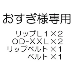 レイ様 コスプレ ウィッグ オーダー 専用ページ② - メルカリ