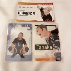 ハイキュー　田中龍之介 名刺カード　おみくじ クリアカード　ファンパーク 箔押し