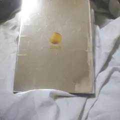 Item thumbnail for item 30afa4e6-f1fa-4f20-b0f9-89c8f6e41002