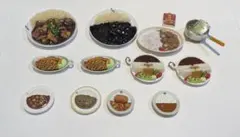 ミニチュア　いろいろカレー　まとめ売り