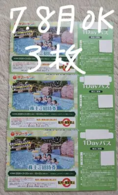 東京サマーランド　1dayフリーパス　株主優待招待券　残り3枚　⑤ 東京サマーランド株主ご招待券 1DAYパス フリーパス 株式優待 3枚