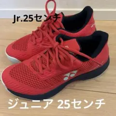 【新生活特価】YONEX ヨネックス Jr ジュニア テニスシューズ25cm