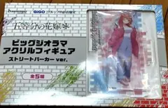 gigo限定　五月　五等分の花嫁　ビッグジオラマアクリルフィギュア