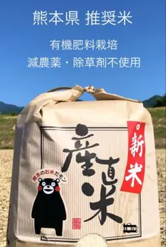 令和7年産 コシヒカリとヒノヒカリの子 ブランド米森のくまさん5kgのサムネイル