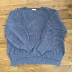 earth music&ecology Vネックニット ブルー