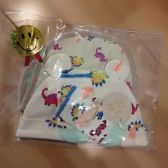 Item thumbnail for item 012c933e-87bc-4f8d-8619-585e09828a86