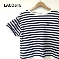 LACOSTE （ラコステ）ボーダー半袖Tシャツ