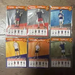 ハイキュー!! アリナミン オリジナルアクリルキーホルダー　6種セット