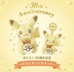 ピカチュウ ぬいぐるみとマスコットセット