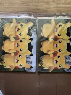 ピカチュウ　A4 クリアファイル２枚セット×2(4枚入り)