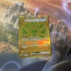 りーぜんと様 リクエスト 2点 まとめ商品