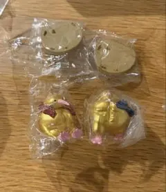 GOLDENムキムキーウィ　キウけい　キーウィんにくトレーニング2種セット