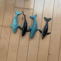 サメフィギュアセット 4体