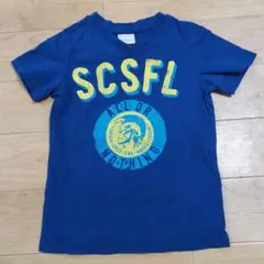 Item thumbnail for item 1762a894-bcdd-49cb-8097-0c2450ccc800