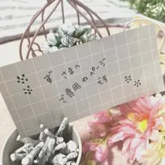 ず さまへ ご専用です*:.✽: