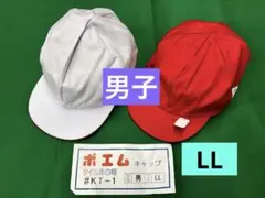 Item thumbnail for item c31c8d3b-1651-45bf-8af4-22fe5c58e45f