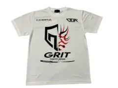 Item thumbnail for item 473272e9-2e18-44e6-92dd-cebd55c6de89