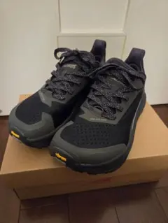 Item thumbnail for item 972f496f-9e9c-4394-be29-8f0a19c07188