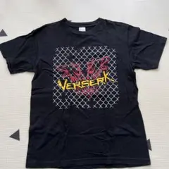 【バラ売り可】ドラゴンゲートTシャツ、タオルセット バラ売り可】ドラゴンゲートTシャツ、タオルセット バラ売り可