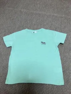 BEAMS mini ゼブラプリント Tシャツ ミントグリーン