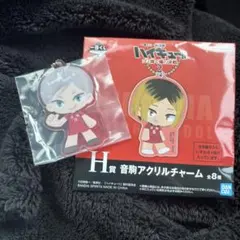 ハイキュー!! ゴミ捨て場の決戦2 アクリルキーホルダー 【灰羽リエーフ】