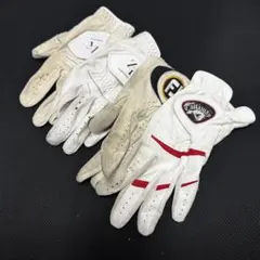 Item thumbnail for item cf6b9101-8554-482b-a132-6b408b96b6a3