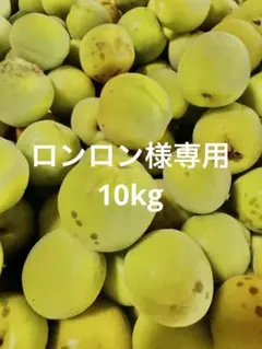 2026年最新】梅干し 10kgの人気アイテム - メルカリ