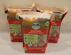 Item thumbnail for item c9c123d5-f451-4f73-b7cb-12e779e8c65c