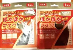 吸湿発熱 ぽかぽかマスク 洗えるマスク グレー 2枚セット