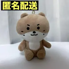SEVENTEEN MINITEEN ミニティーン チャンダリ ぬいぐるみ - メルカリ