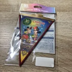 ディズニー クリスマス ガーランド ディズニーランド