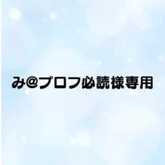 2026年最新】プロフ必読様専用の人気アイテム - メルカリ