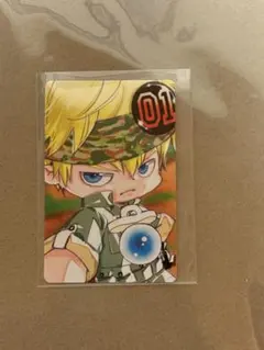 天野明展　特典　自撮り風トレーディングカード　コロネロ　REBORN