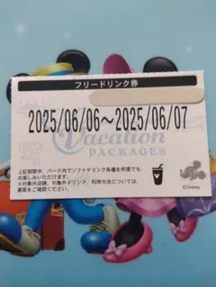 ディズニーバケパ　フリードリンク券