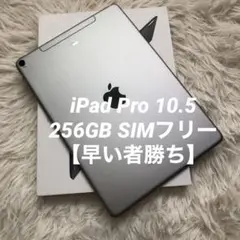 【完動品】iPad Pro 10.5 256GB SIMフリー【すぐ発送】