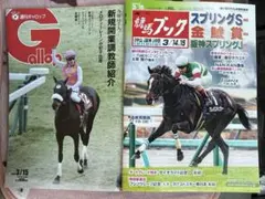 け*)様 週刊Gallop 2004年 競馬雑誌 7冊セット - メルカリ